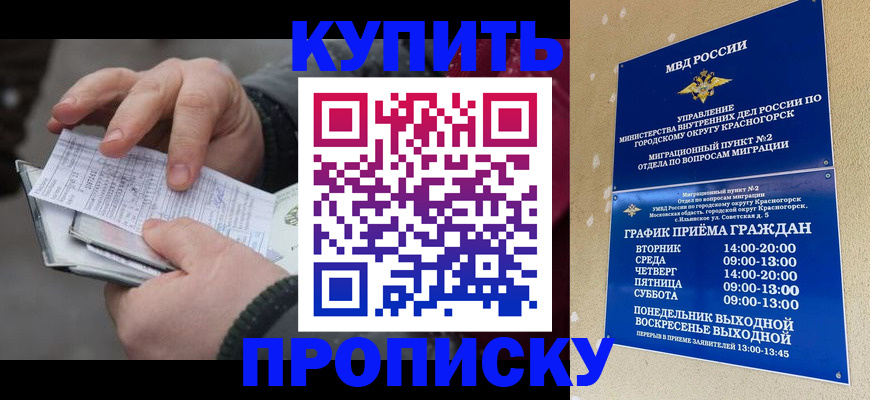 временная регистрация недорого в Калмыкии